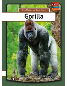 Gorilla