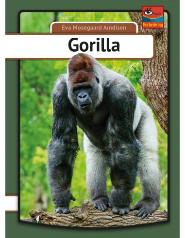 Gorilla