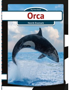 Orca
