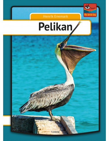 Pelikan