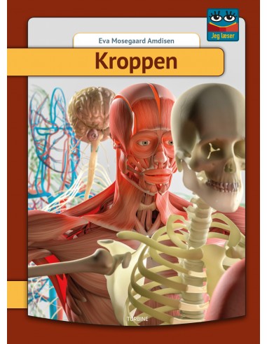 Kroppen