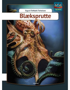 Blæksprutte