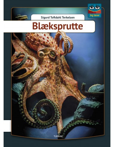 Blæksprutte