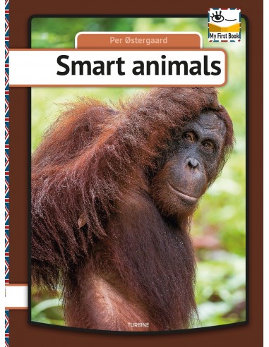 Smart animals