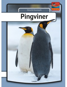 Pingviner