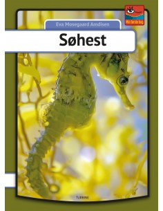 Søhest