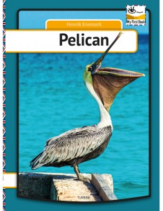 Pelican