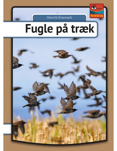 Fugle på træk