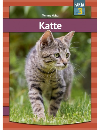 Katte