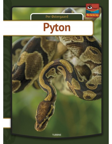 Pyton