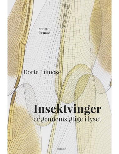 Insektvinger er gennemsigtige i lyset