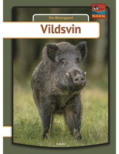 Vildsvin