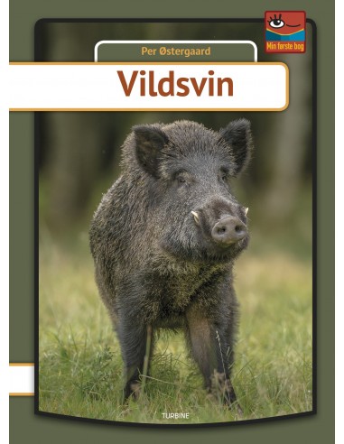 Vildsvin