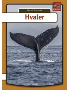 Hvaler