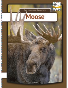 Moose