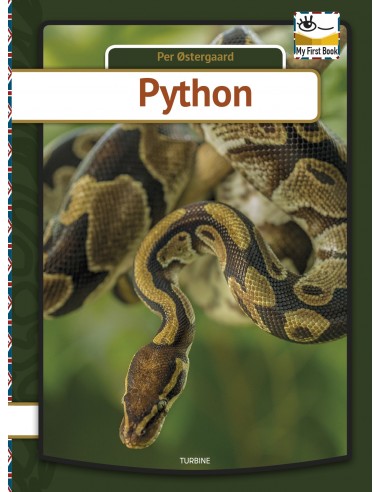 Python