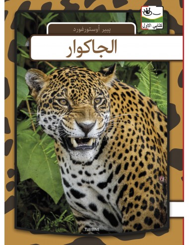 Jaguar - arabisk