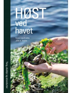 Høst ved havet