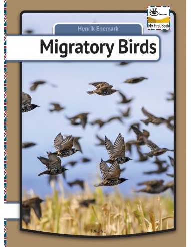 Migratory birds