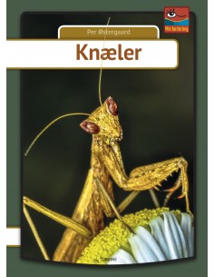 Knæler