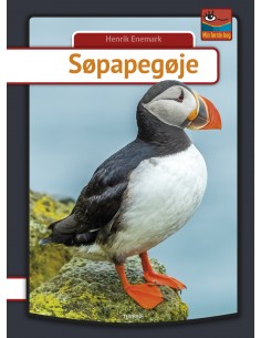 Søpapegøje