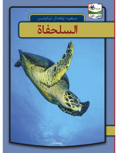 Skildpadder - arabisk