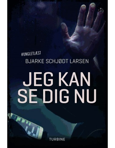 Jeg kan se dig nu