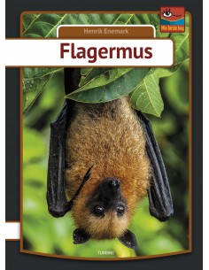 Flagermus