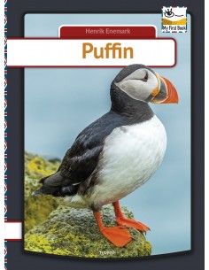 Puffin