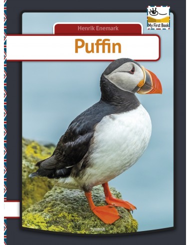 Puffin