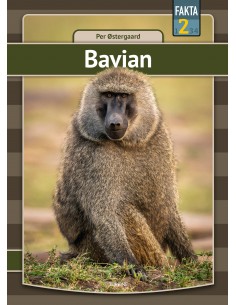 Bavian