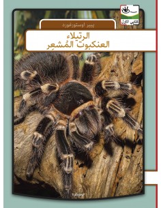 Fugleedderkop - arabisk