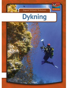 Dykning