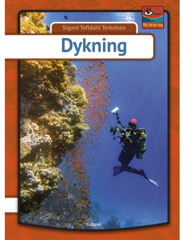 Dykning