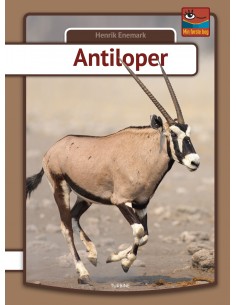 Antiloper