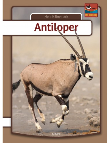 Antiloper