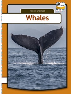 Whales