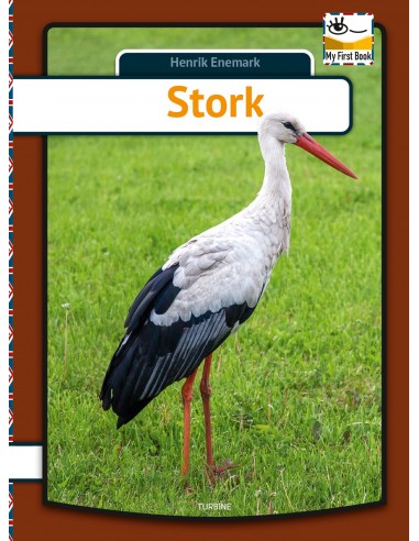 Stork - engelsk