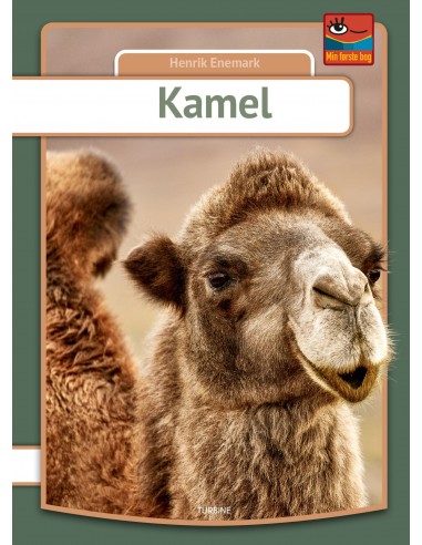 Kamel