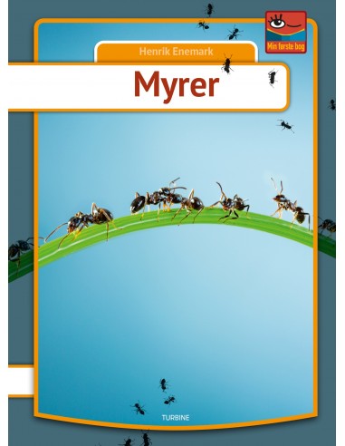 Myrer