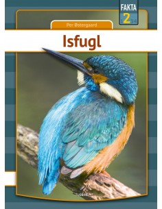 Isfugl