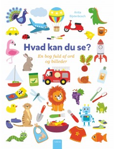 Hvad kan du se?