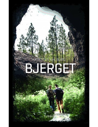 Bjerget