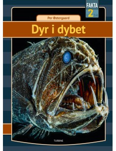 Dyr i dybet