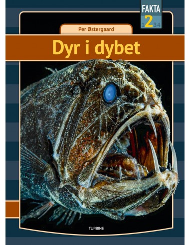 Dyr i dybet