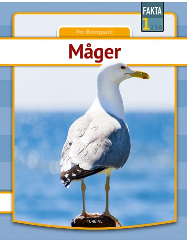 Måger
