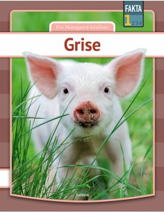Grise
