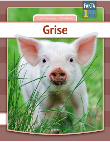 Grise