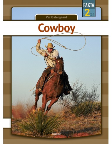 Cowboy