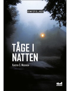 Tåge i natten